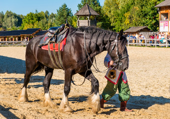 Chestnut horse before racing.     The chestnut horse is before racing on the stadium.