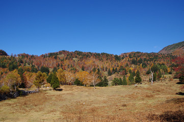 秋の山田牧場