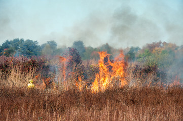 Fototapeta na wymiar Brush fire