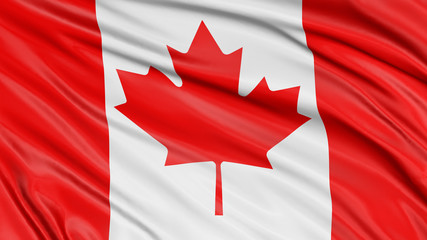 3D Canada Flag   - 94212307