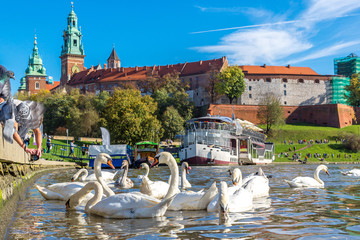 Fototapeta Wawel castle in Krakow obraz
