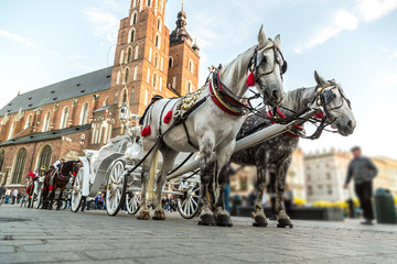 Fototapeta na wymiar Horse carriages at main square in Krakow