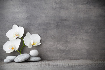Fototapeta na wymiar White orchid and spa stones on the grey background.