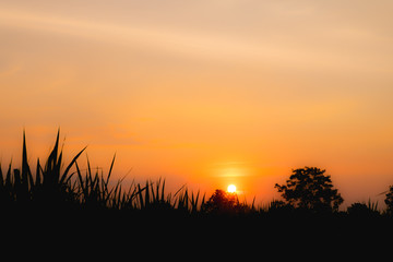 Fototapeta premium beautiful sunset and field the mountain , sky color orange