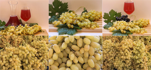 Grape bunches on the table a large harvest, grape wine, collage 6 photos