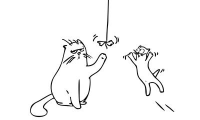 Кот не любит играть с фантиком