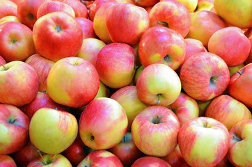 Red and yellow apples