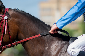 hands of jokey ready to start holding rains of racing horse deta