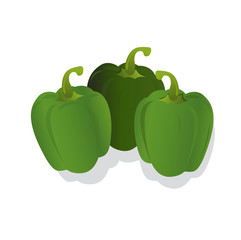 fresh green peppers, vector illustration, isolated on white background