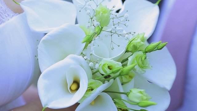the bride holds a wedding3 bouquet of flowers 
