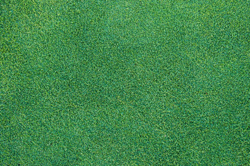 Grass texture of football & golf court.