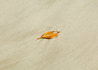 sheet lying on the yellow sand on the sea