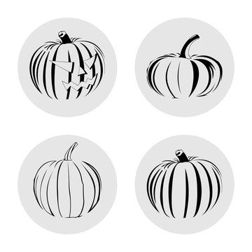 set of simple pumpkins illustration