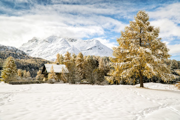 First Snow