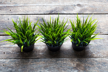 Fake grass in black pots on wooden desk