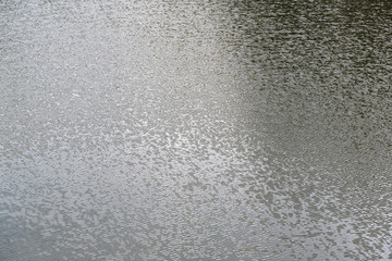 Gray water.