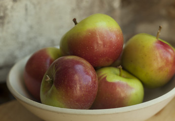 Still life of a bowl of crab apples