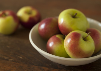 Still life of a bowl of crab apples