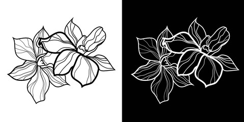 Set of vector floral design elements, freehand drawing - flowers