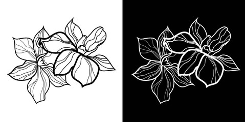 Set of vector floral design elements, freehand drawing - flowers