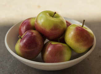 Still life of a bowl of crab apples