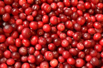 colorful red cranberries background close up lying on the surface