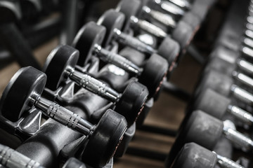 Obraz premium Rubbered Dumbbells on a stand in the gym