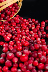Cranberries near the basket