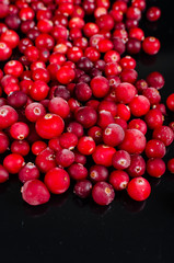 frozen cranberries on a black background