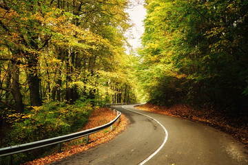 Fototapeta premium Autumn road