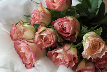 bouquet og pink roses on a white dress