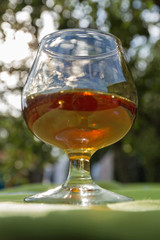  Copa con Licor Tostado