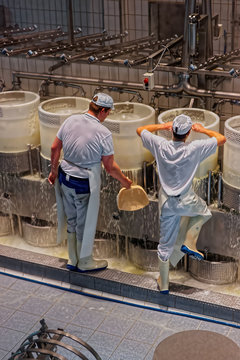 Cheese makers at work during the processing of Gruyere cheese
