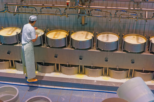 Cheese-maker concentrated on the process of production of Gruyer