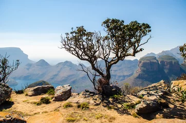 Photo sur Plexiglas Canyon Blyde River Canyon, Mpumalanga - Sudafrica