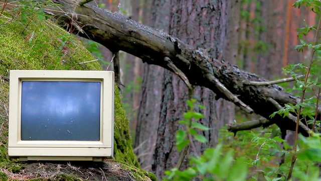 Ubiquitous computer. Old monitor storm threw into pine woods
