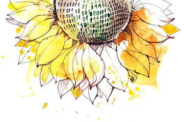 Obraz premium sunflower