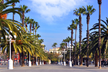 One of the main avenue with tourists and palms in Barcelona 