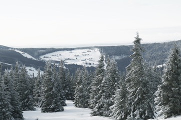 European Mountains - Krkonose