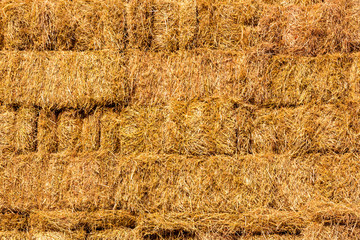 Fresh straw hay bales background