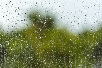 Rain water drops on a window glass