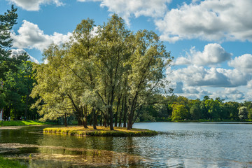 Fototapeta premium Beautiful russian landscape with willows