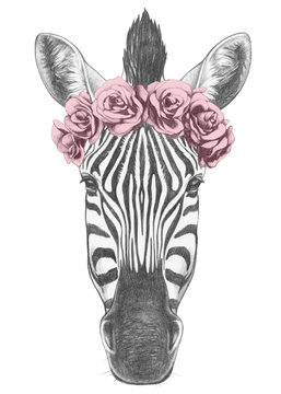 Portrait of Zebra with floral head wreath. Hand drawn illustration.