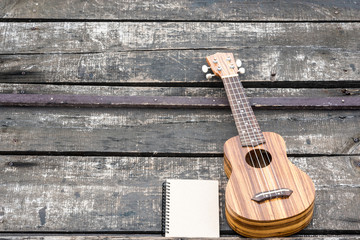 Obraz premium ukulele with the notebook