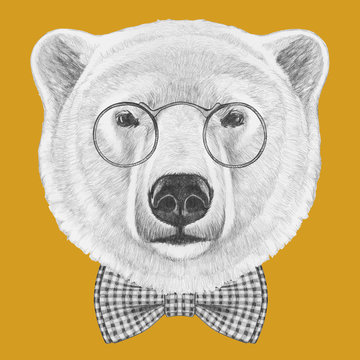 Portrait of Polar Bear with glasses and bow tie. Hand drawn illustration.
