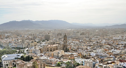 Fototapeta na wymiar Malaga Cathedral