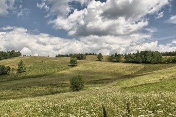 wzgóza
