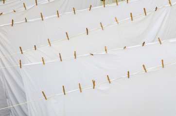 Background of many freshly washed white bed sheet layers drying outside on ropes with wooden pins