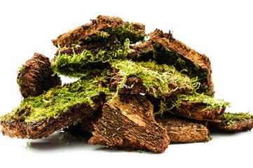 Rindenst&uuml;cke mit Moos