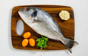 dorada fresh raw on the wooden board